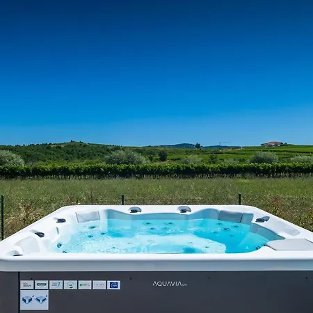 Guest house Chiara By Seeadria Agency Brtonigla